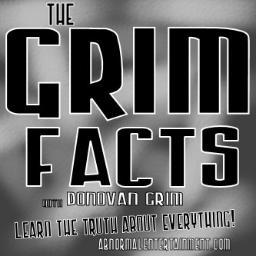 I am a retired newsman and host of The Grim Facts podcast for Abnormal Entertainment. I discuss government conspiracies and my alien abduction.