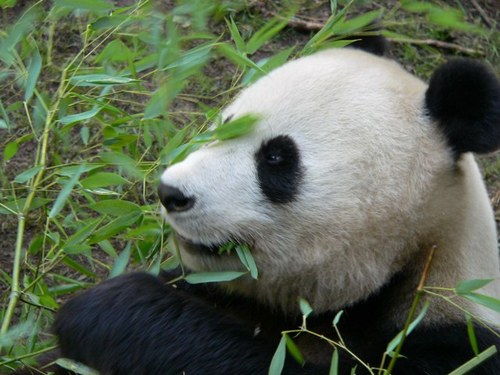 AcaciaLaFont's profile picture. Mom to two little ladies, wife, educator, traveler, life-long learner.