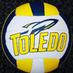 Toledo Rockets Volleyball (@toledovb) Twitter profile photo
