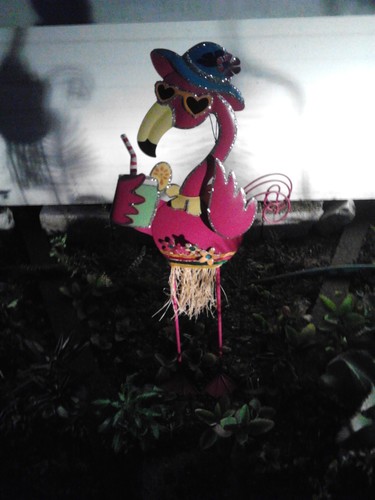 I'm a fun lovin' native florida gal~ a bit young for retirement but happy to have a little place of my own!