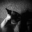 Abbey Normal - @ShmartCookie - Twitter