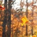 malcolm sanchez - @malcolmsanchez1 - Twitter