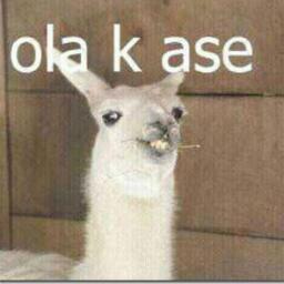 Si eres guapo como yo, eres loco y sigueme:)