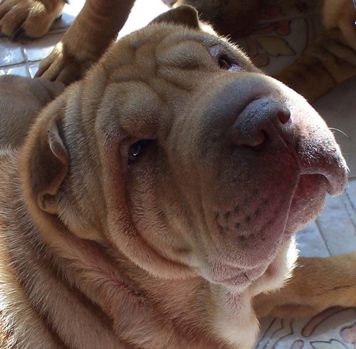 Paratizo's profile picture. This is simple and it goes back to the basics to keep the pounds off for good, but it really worked for me, just give it a try