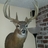 jmetro22's profile image