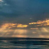 Barbara L (@lottieb46) 's Twitter Profile Photo