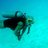 Rick_Dudek's profile image
