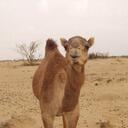 Chris Woolridge - @Fitter511 - Twitter