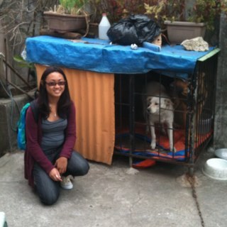 bea_i_luv_JB's profile picture. 