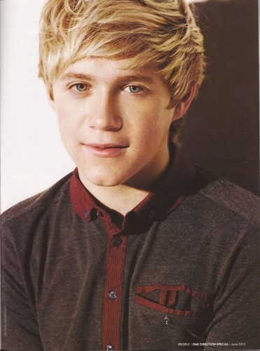 Niallhora4 Profile Picture