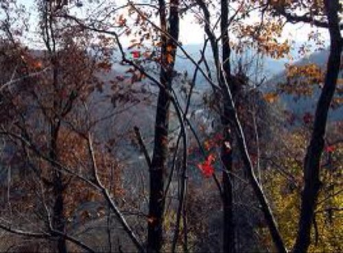 Chasing down the whitetail dream in the keystone state