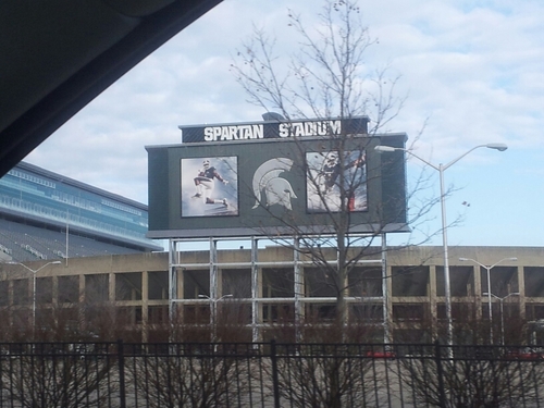 polllavon's profile picture. 