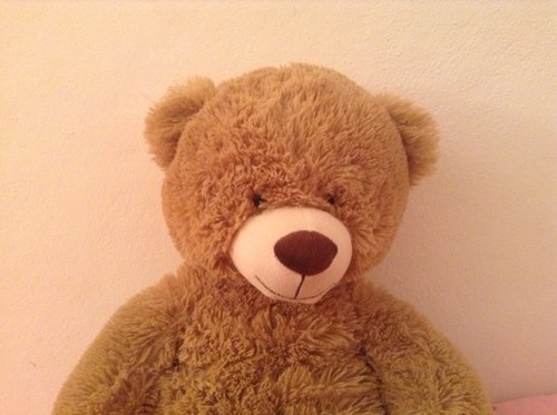 Hola soy un oso que ama a todos.