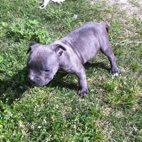 bighead_wayne's profile picture. 