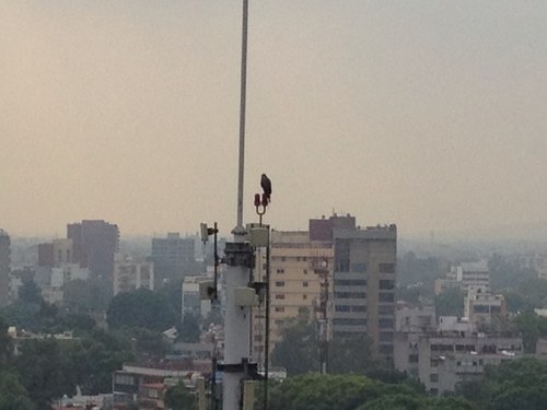 Abogado en telecomunicaciones y radiodifusión.