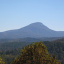 laney allen - @laney_allen - Twitter