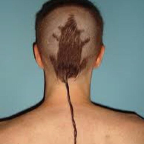 Rattails4lyfe_'s profile picture. 