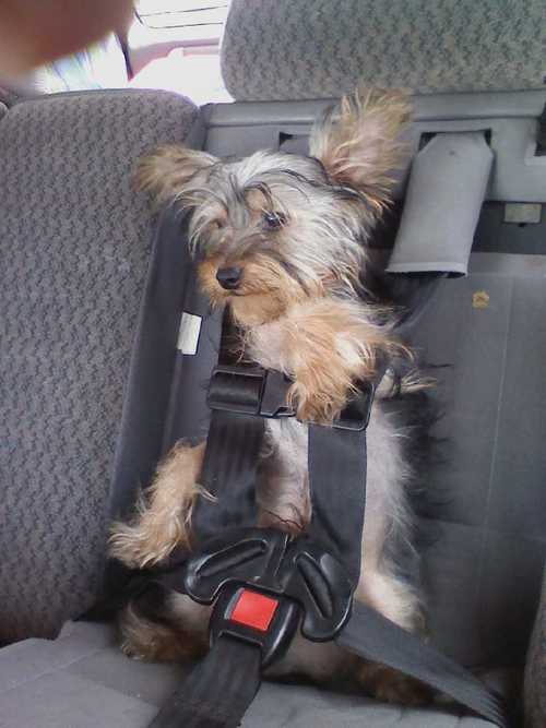 Kayler22's profile picture. 