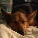 Joseph Merkel - @JMerk89 - Twitter