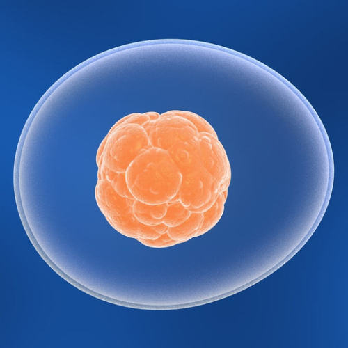 CeresHealth's profile picture. Seriously... The next big advance in modern medicine=Adult Stem Cells. Find out all you can now. It could save you