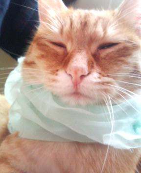 blockpink's profile picture. 