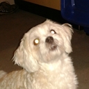 Alison Hoffman - @BoB_mcAlison - Twitter