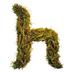 The Horticult (@thehorticult) Twitter profile photo The Horticult (@thehorticult) Twitter profile photo