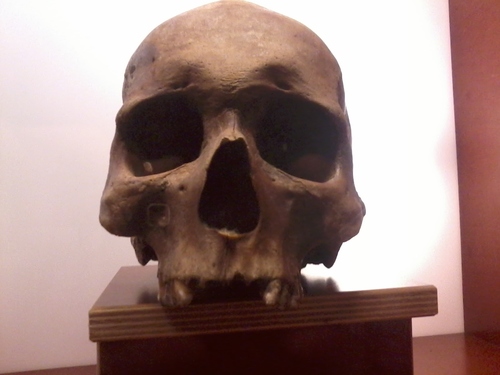 EpicConan's profile picture. @:D