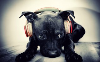 djfunkey's profile picture. http://t.co/g2EVkkbs3T