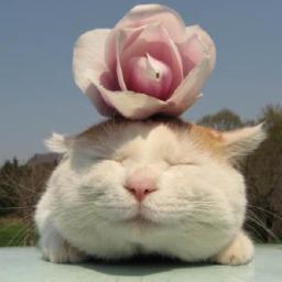 campbell703703's profile picture. アラフォー世代を応援すべく日々奮闘中！仕事にテニスにランにオンナ磨き。最近ゴルフは真剣です。欲張りオンナの日々ぶつぶつ呟いてます★どうぞヨロシクね