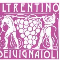 vignaioli trentino (@vignaiolitn) 's Twitter Profile