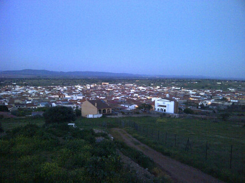 Vendedor