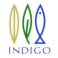 Indigo (@indigo_colaba) 's Twitter Profile