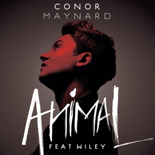 I follow everyone back, so long as you don't offend my baby @ConorMaynard