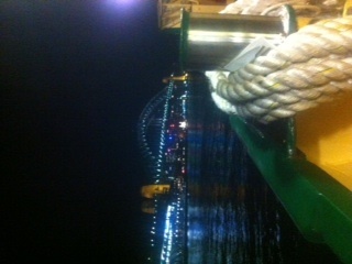 jesscarroll101's profile picture. ACU Student
Master of Teaching (Primary)