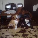 dorian holliday - @hammaz230 - Twitter