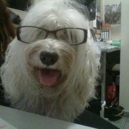 navega4's profile picture. Buen jugador y mejor persona, jugador del Pucela de cuando yo era un crío.
Como dijo un genio, no hay nada peor en esta vida que ser un pesado.
Así que ya sabes