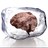 Frozen__Mind's profile image