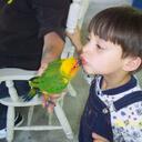 Barbara Babin - @bad7752 - Twitter