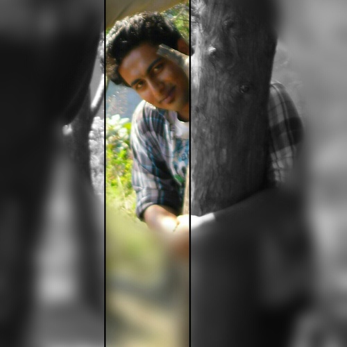 sharon_amanna's profile picture. working at ashok leyland