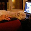 Anne Egal - @Ischbinalt - Twitter