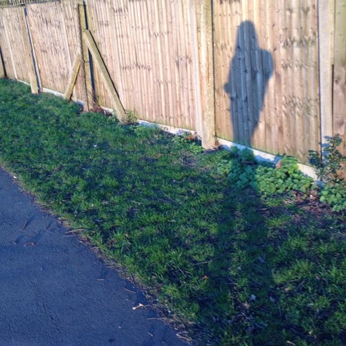 Globalised geographer, traveller, sports, THFC. 'Man who wants pretty nurse, must be patient.'