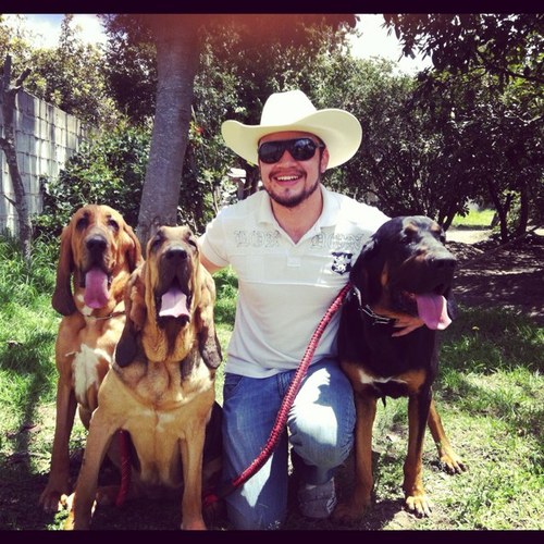 crisxa9's profile picture. Medico Veterinario Zootecnista graduado en la UDLA, con pasión hacia los caballos, primer criador de Bloodhounds en el Ecuador y amante a la salsa.