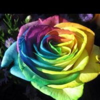 سرحان السبيعي (@s0s5000) 's Twitter Profile