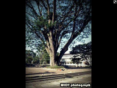 smart, hedonis, n easygoing.. Pin?? Ask me..