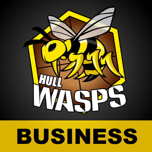 A platform for local businesses to network together through @hullwasps. It's a new way of mixing sport and business. We also offer sponsorship and advertising.