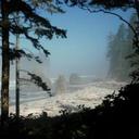 Karen Cheney - @qwiltlover - Twitter