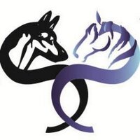 assvap (@assvap) 's Twitter Profile