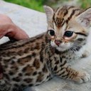 Kai Yamada - @uu07 - Twitter