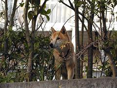 鹿児島県生まれ。零細一口馬主。主に競馬について呟きます。好き→美術館、博物館、競馬、漫画、将棋、麻雀、Perfume